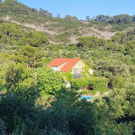 דירה Glavica גובדארי