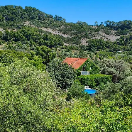 Διαμέρισμα Glavica Goveđari